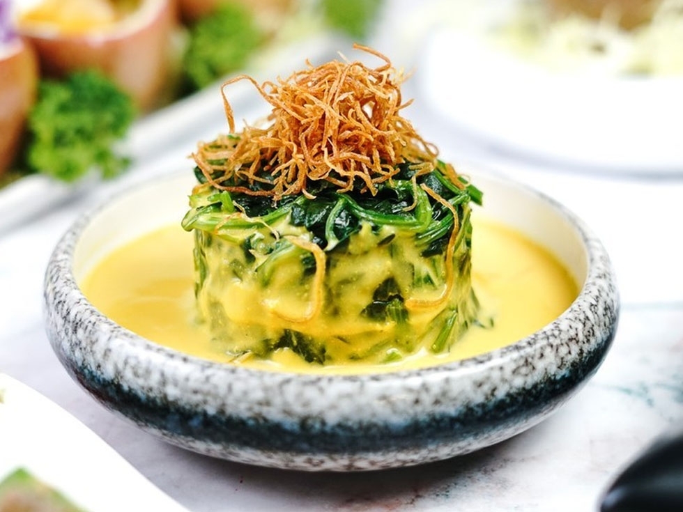 金湯菠菜苗