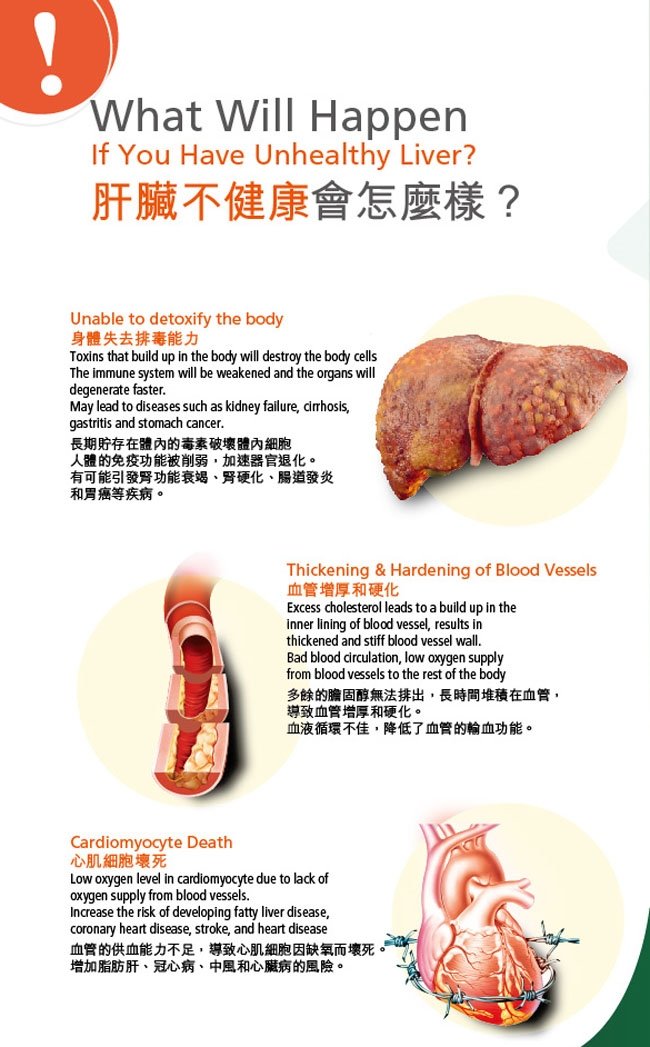 本頁圖片/檔案 - B-KLA-HK-C