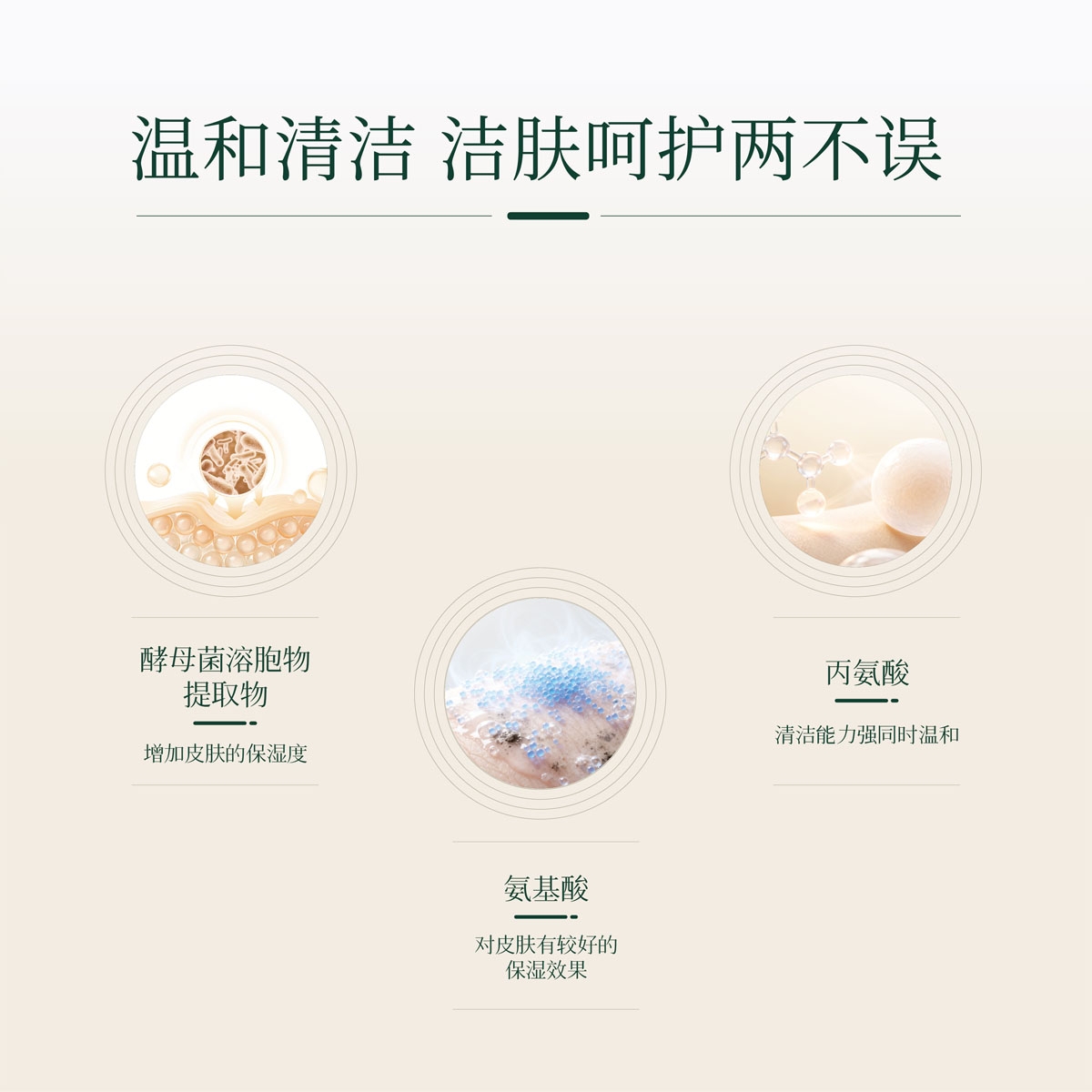 本頁圖片/檔案 - 洁面慕斯主图_1-01