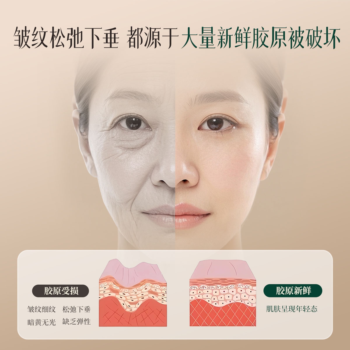 本頁圖片/檔案 - 緊致面膜-面膜主图1